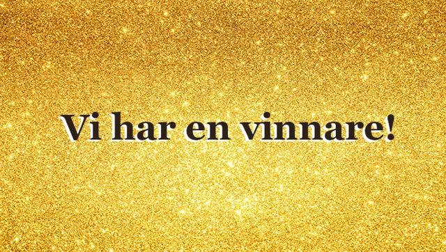 Vinnare Puff (1).