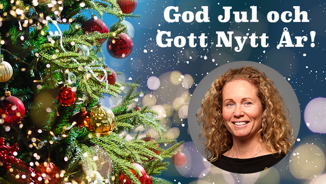 Julhälsning Caroline (1).